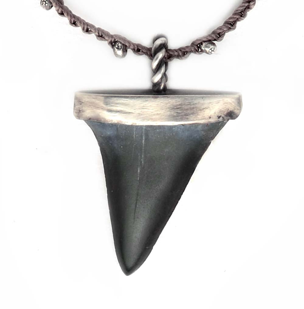 Shark's Tooth 29 - On U Jewelry