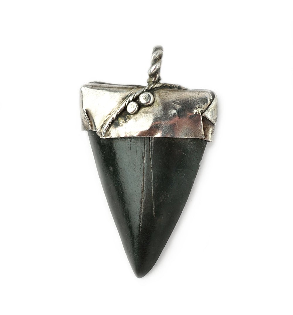 Shark's Tooth #28 - On U Jewelry