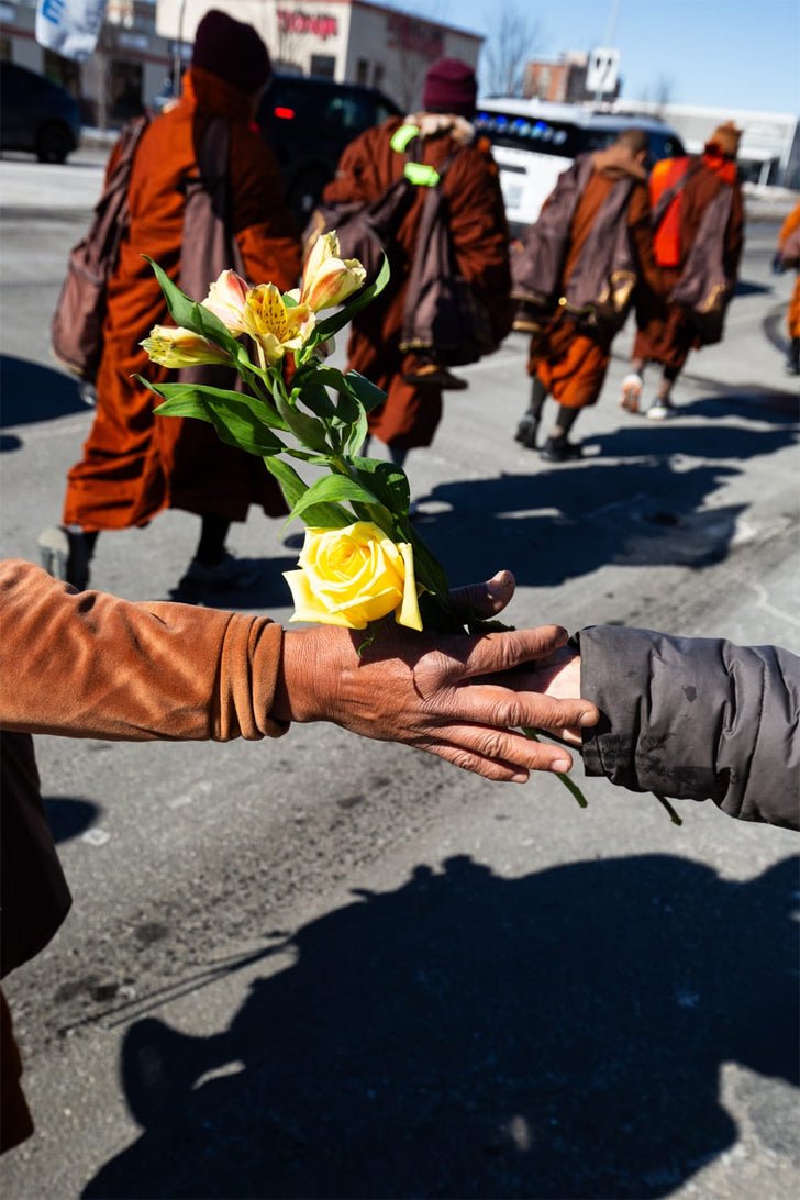Why Knot - Peace Walk Jasper - On U Jewelry
