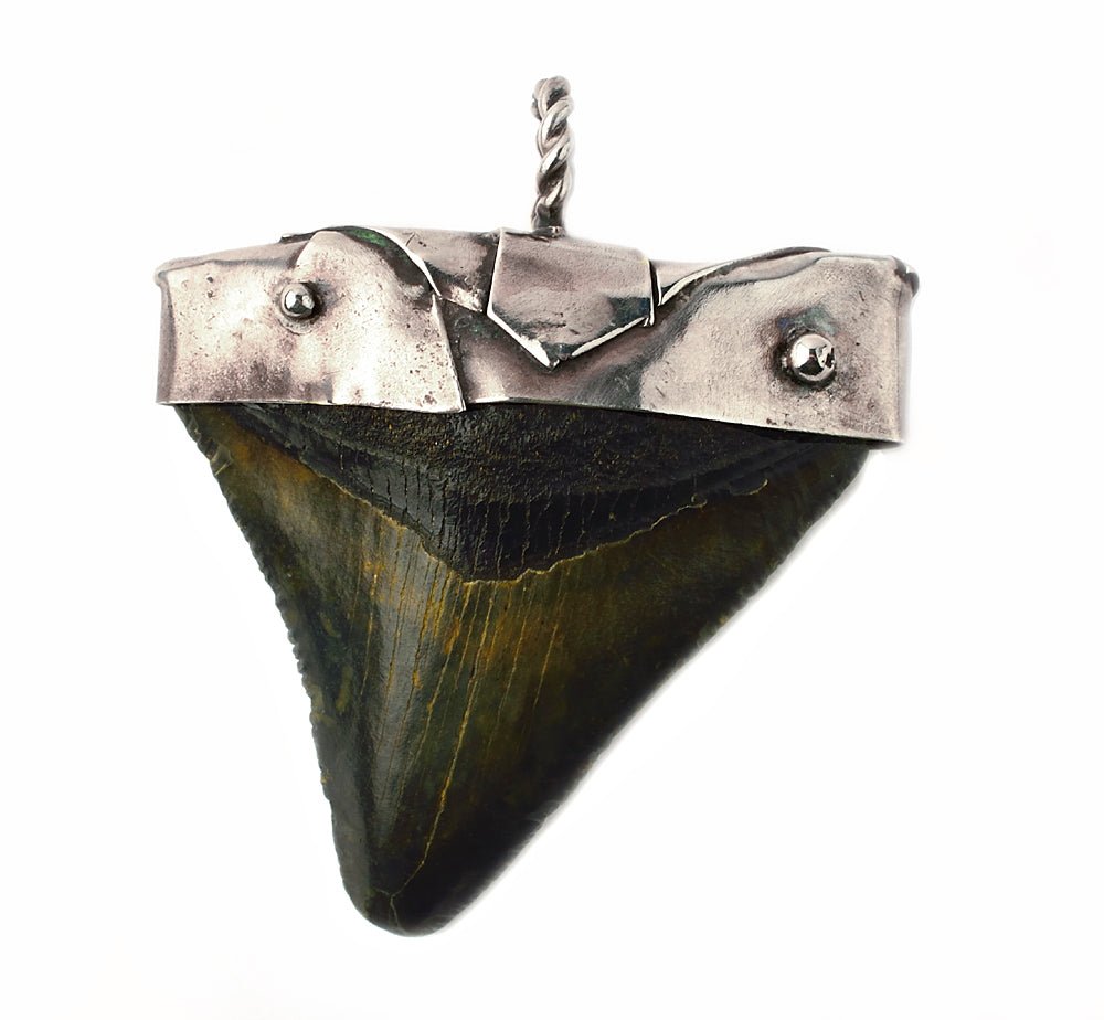 Gold Wire Wrapped Megalodon Tooth Pendant - # 2 | Sharksteeth.com